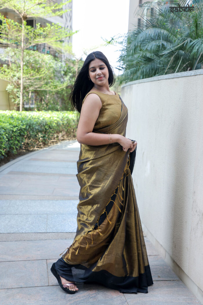 Tissue Saree - Image 3